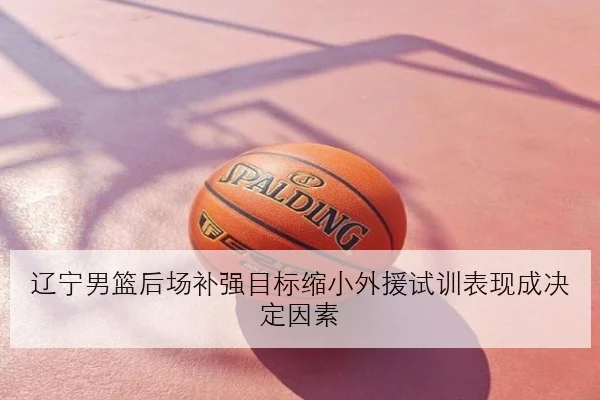 辽宁男篮后场补强目标缩小外援试训表现成决定因素